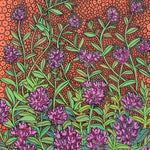 Thyme Seeds - Creeping - Sow True Seed