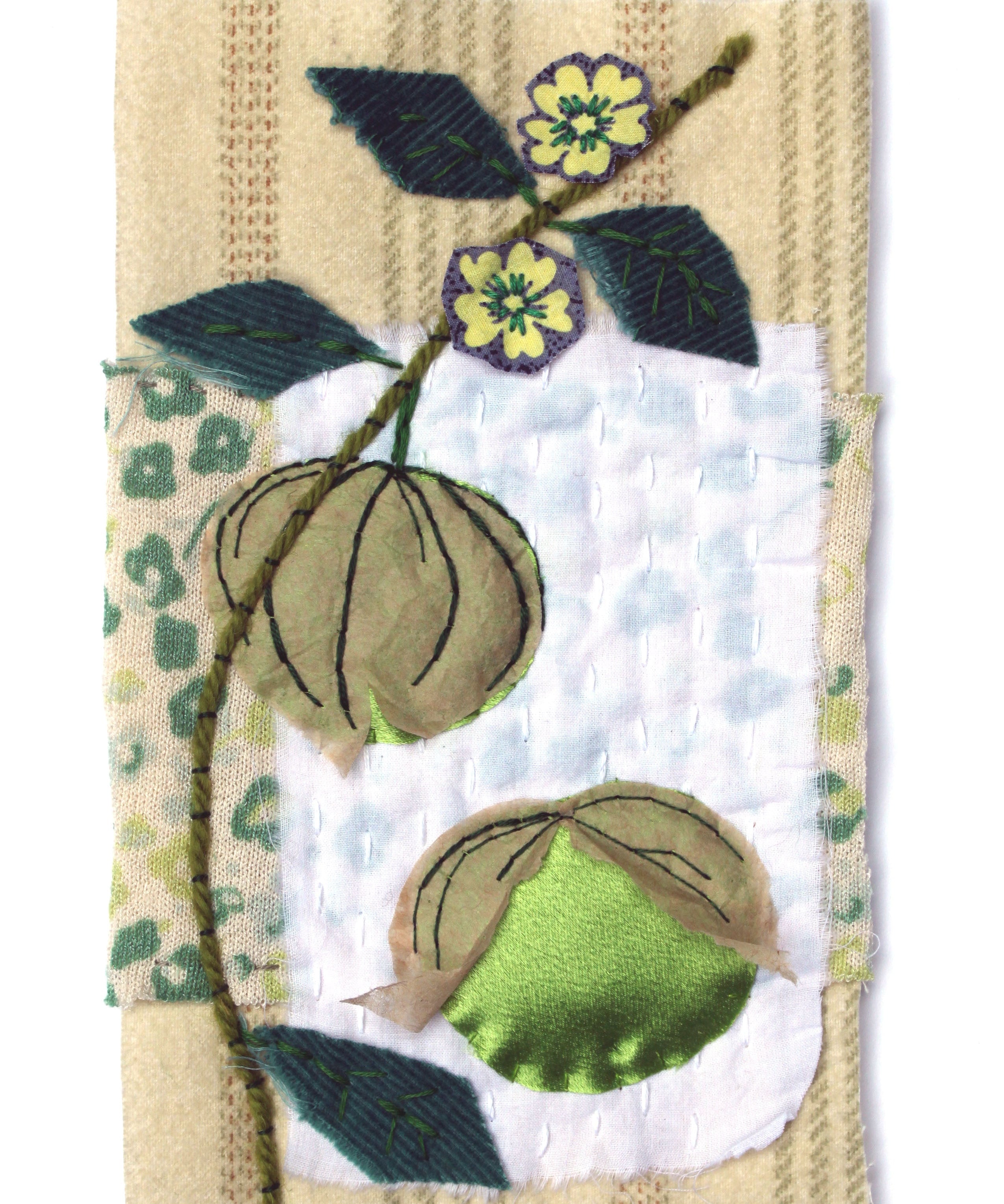 Tomatillo Seeds - Green, ORGANIC - Sow True Seed