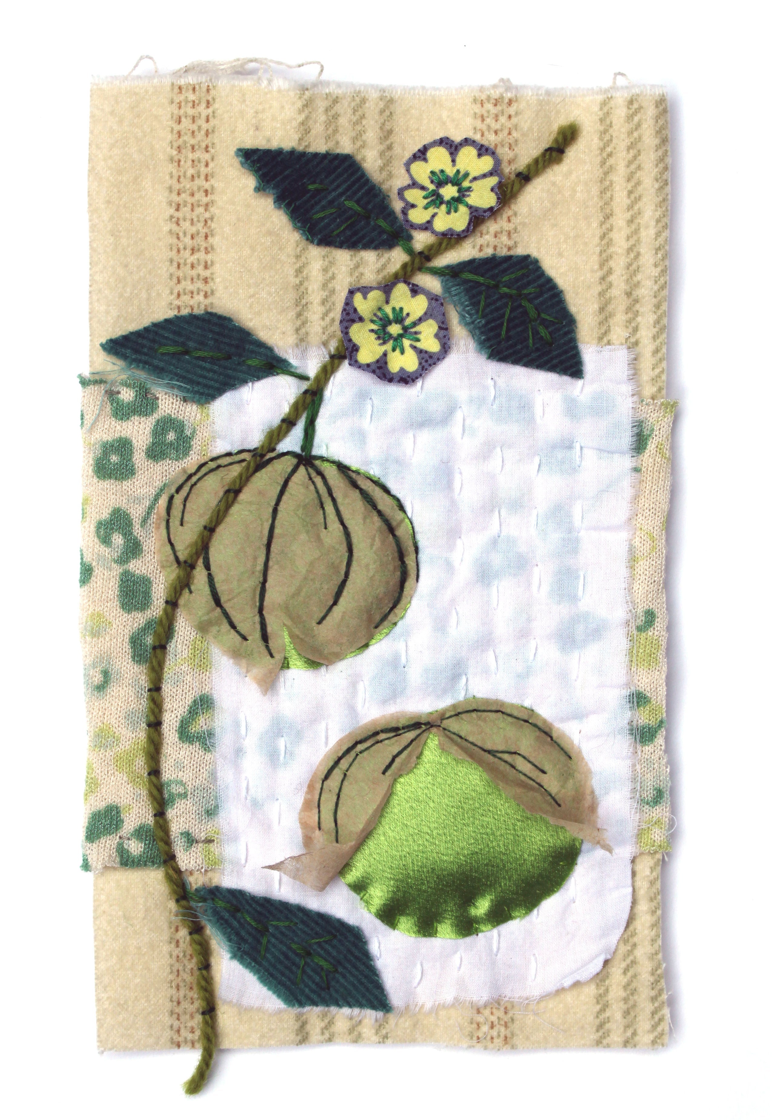 Tomatillo Seeds - Green, ORGANIC - Sow True Seed