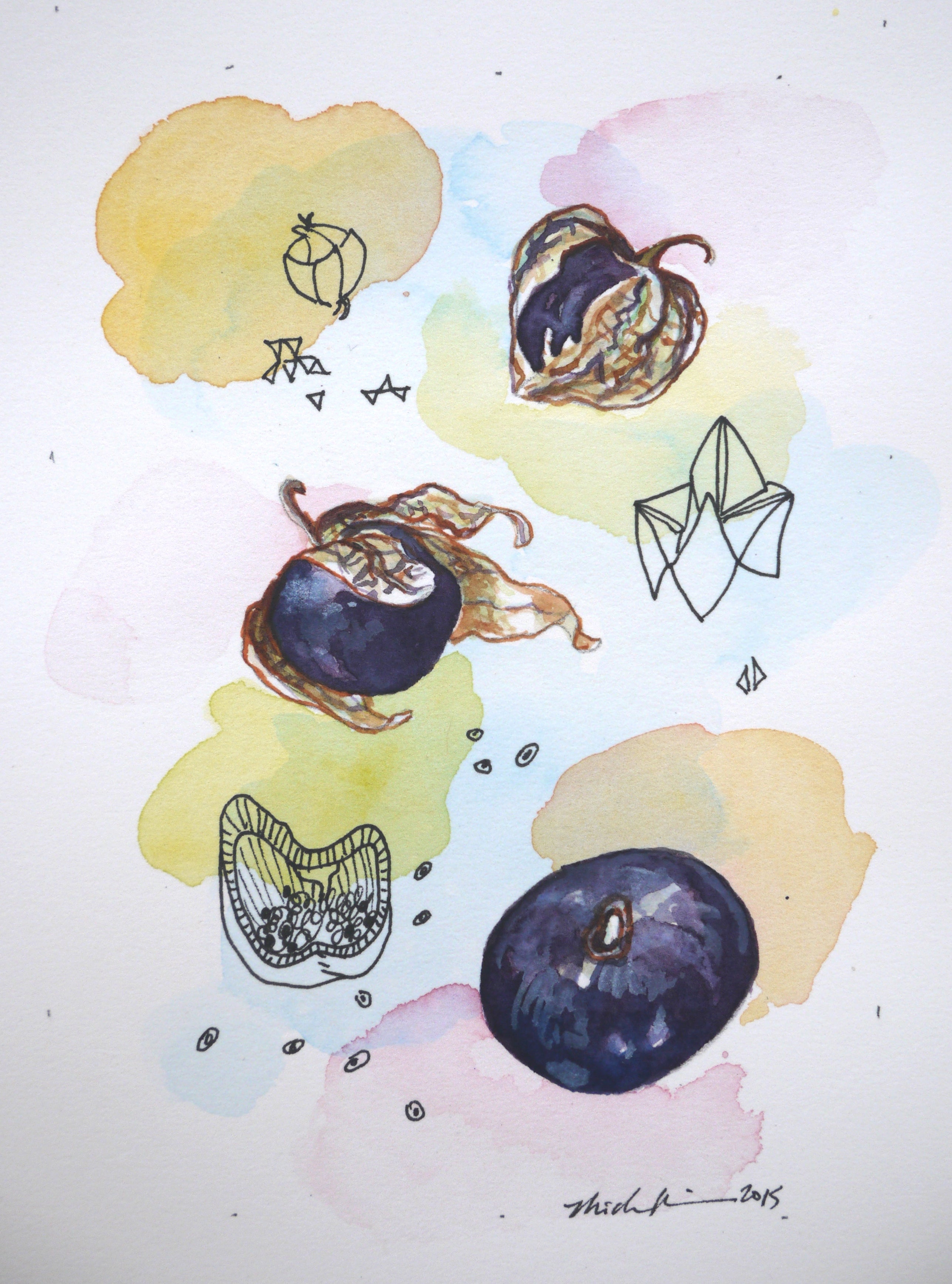 Tomatillo Seeds - Purple - Sow True Seed
