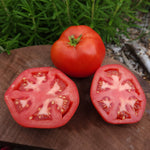 Slicing Tomato Seeds - Moskvitch - Sow True Seed