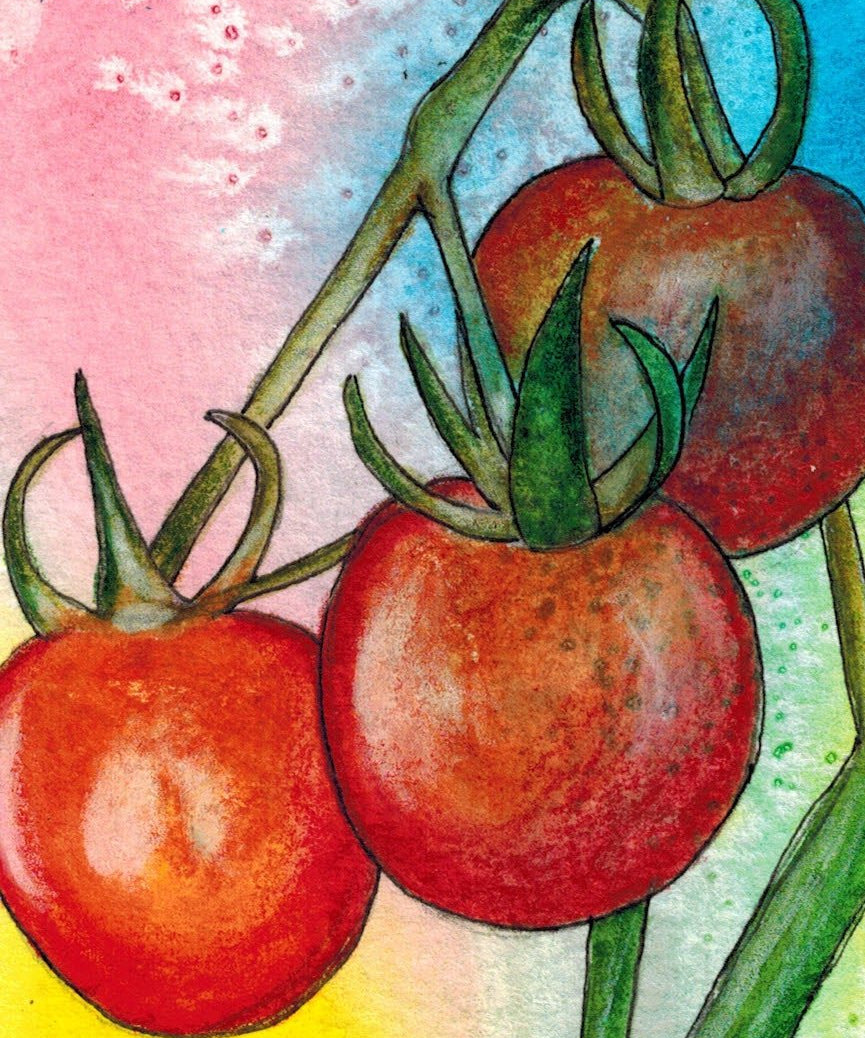 Cherry Tomato Seeds - Chadwick Cherry, ORGANIC - Sow True Seed