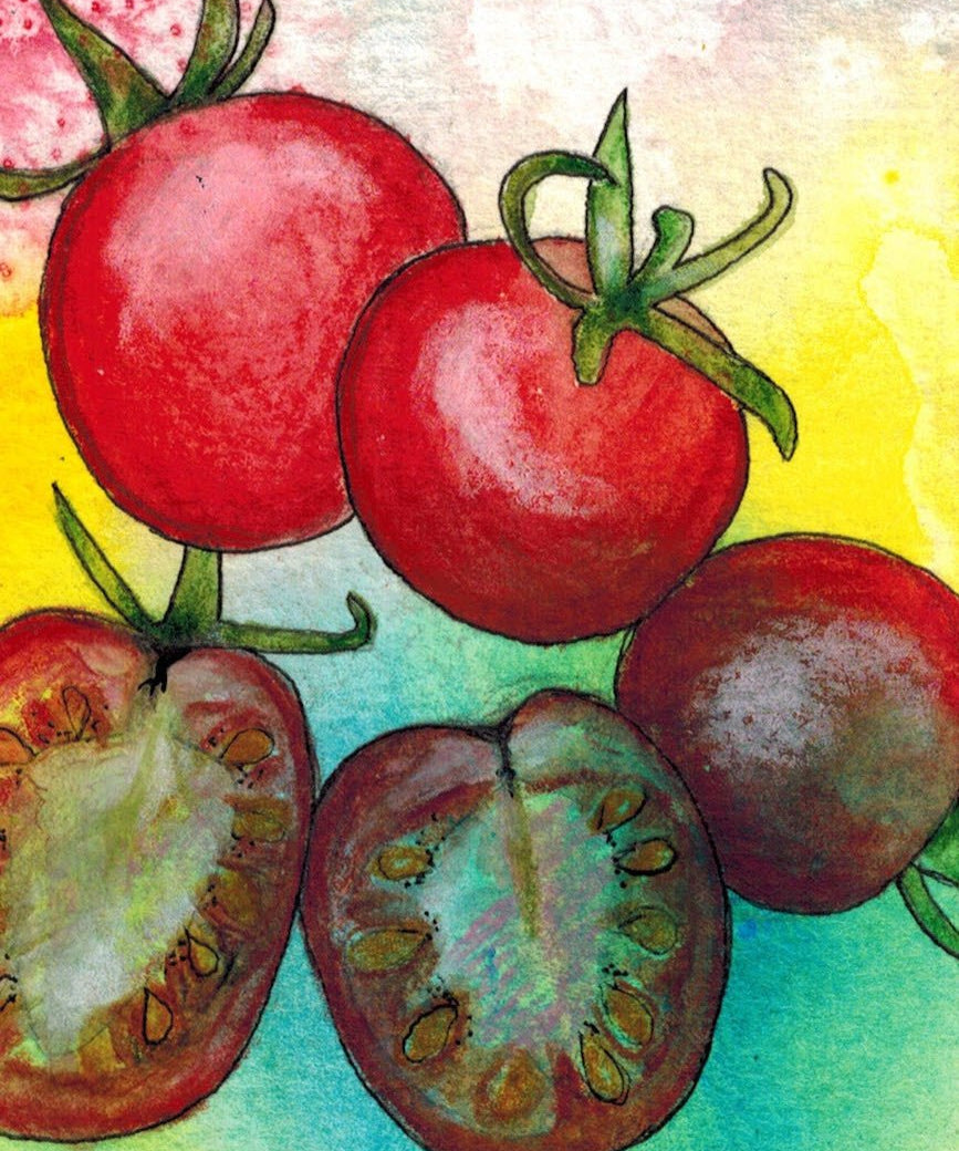 Cherry Tomato Seeds - Cherry Sweetie, ORGANIC - Sow True Seed