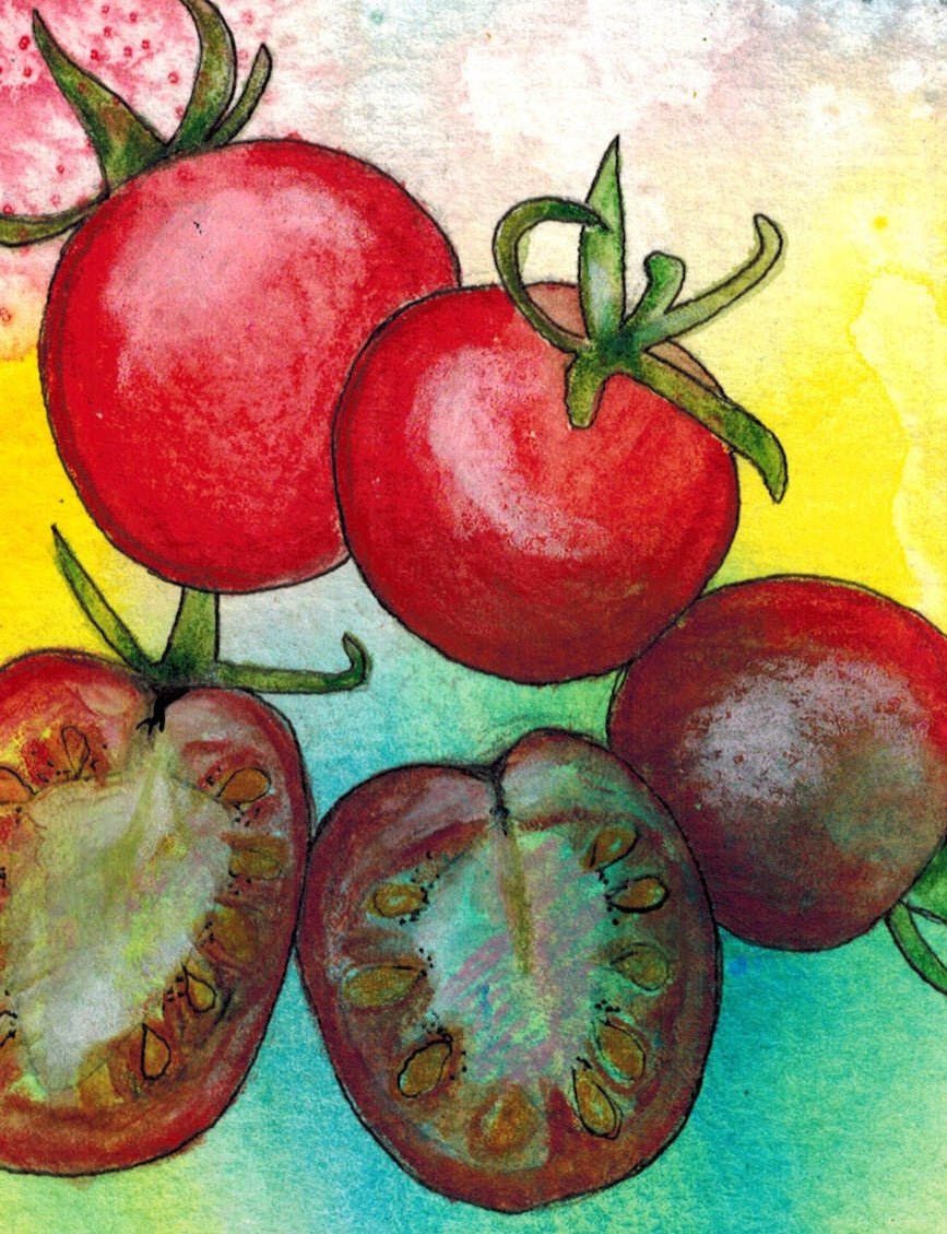 Cherry Tomato Seeds - Cherry Sweetie, ORGANIC - Sow True Seed