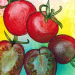 Cherry Tomato Seeds - Cherry Sweetie, ORGANIC - Sow True Seed