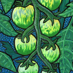 Slicing Tomato Seeds - Green Zebra, ORGANIC - Sow True Seed