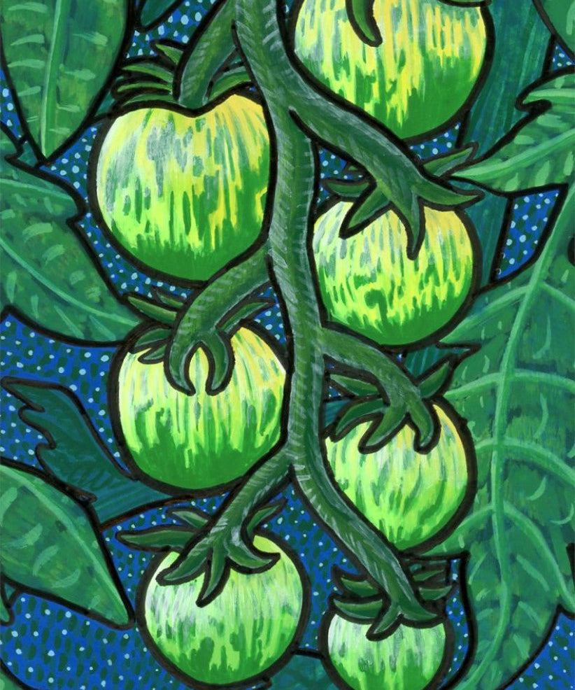Slicing Tomato Seeds - Green Zebra, ORGANIC - Sow True Seed