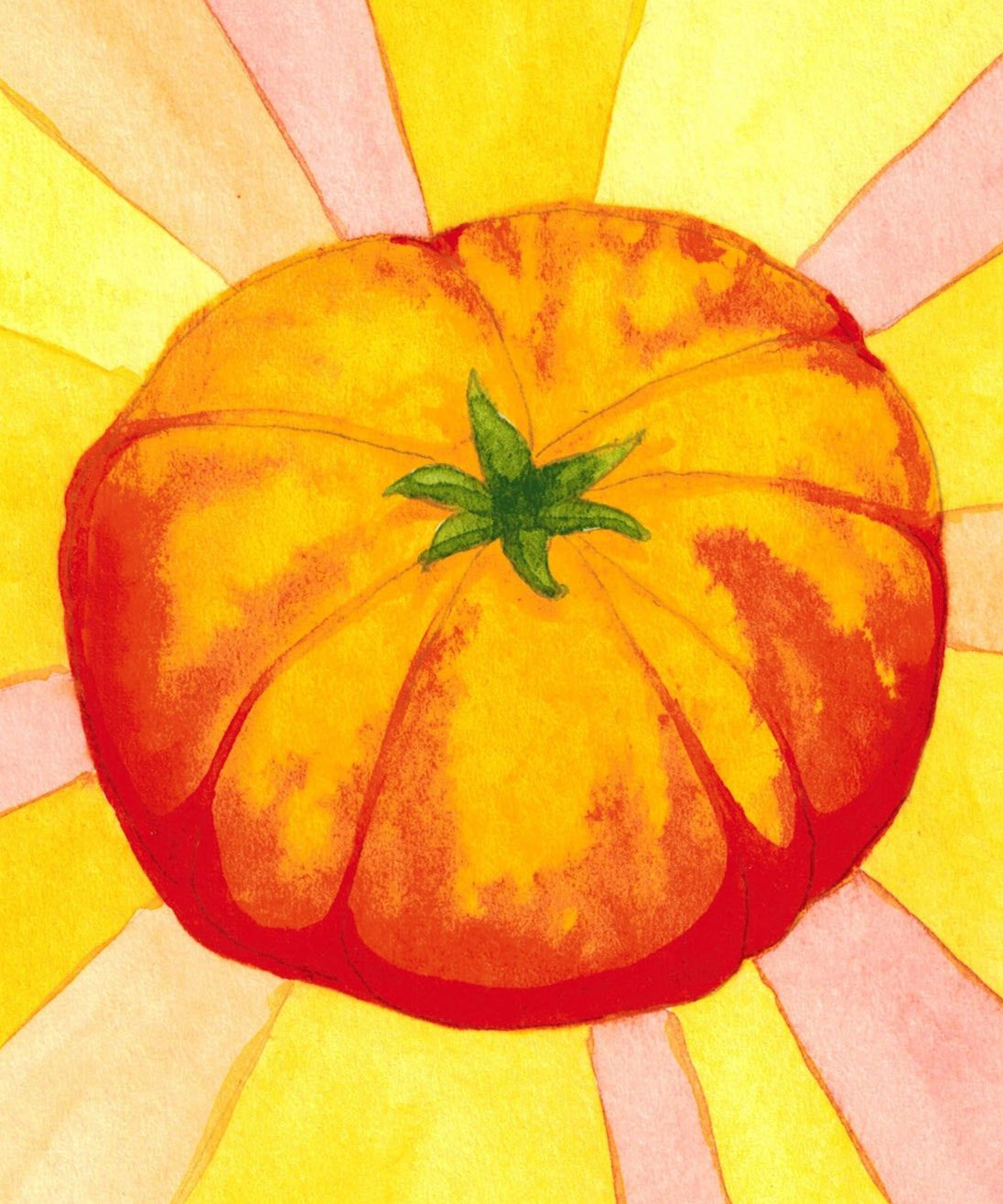Slicing Tomato Seeds - Hillbilly, ORGANIC - Sow True Seed