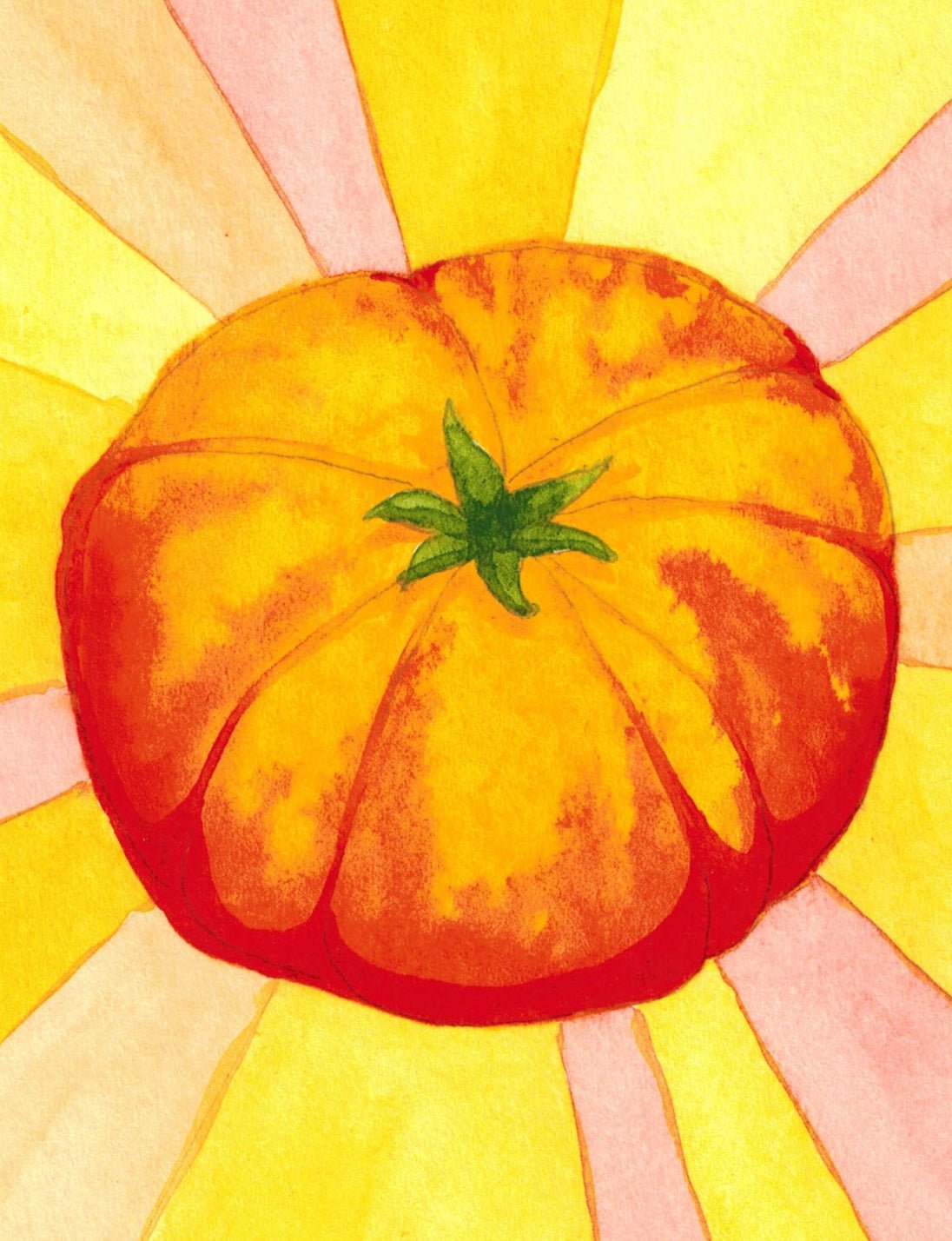 Slicing Tomato Seeds - Hillbilly, ORGANIC - Sow True Seed