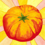 Slicing Tomato Seeds - Hillbilly, ORGANIC - Sow True Seed