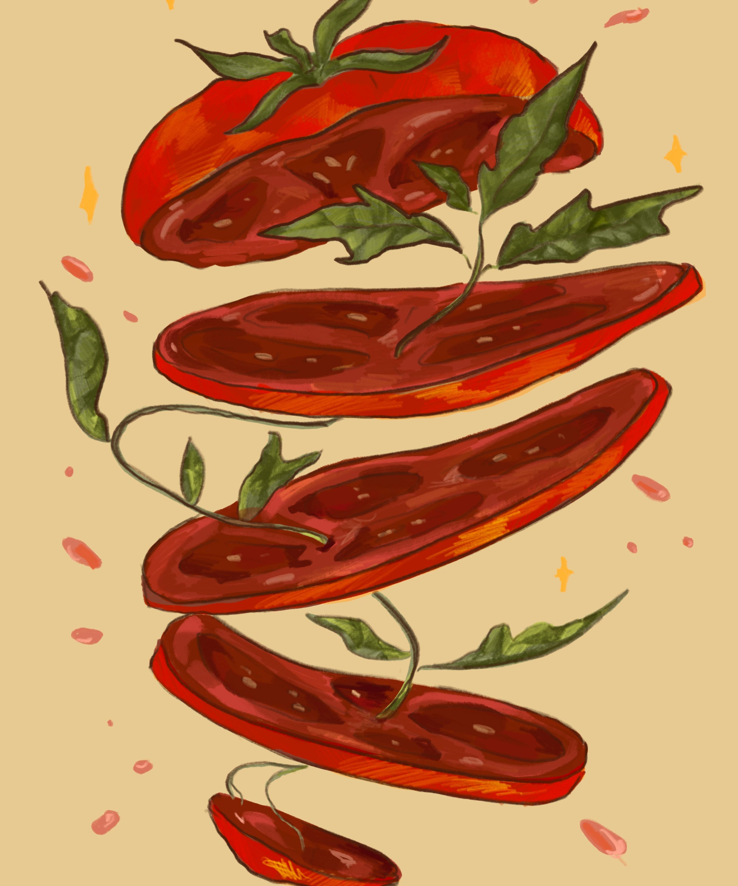 Slicing Tomato Seeds - Homestead - Sow True Seed