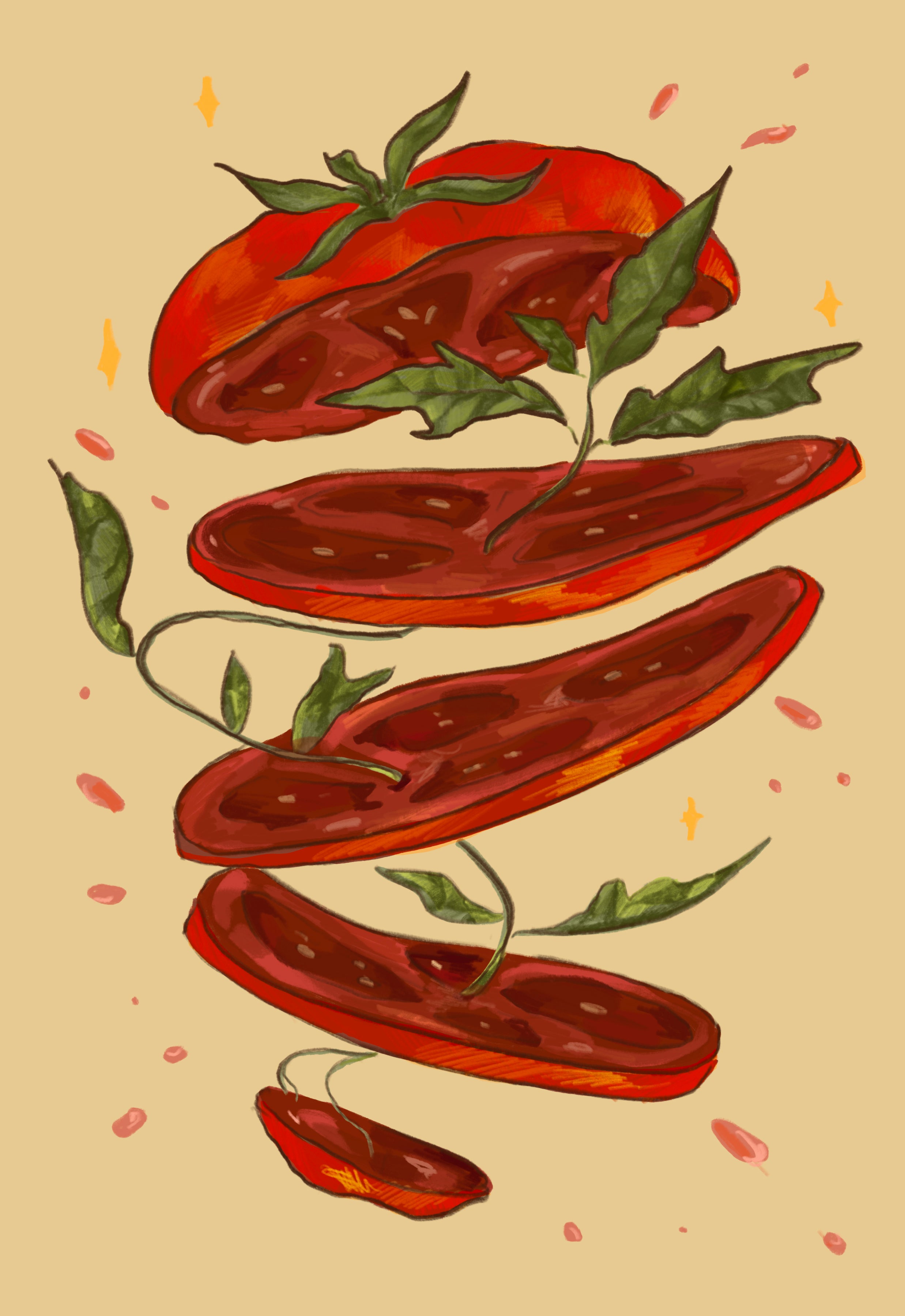 Slicing Tomato Seeds - Homestead - Sow True Seed
