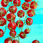Cherry Tomato Seeds - Matt's Wild Cherry, ORGANIC - Sow True Seed