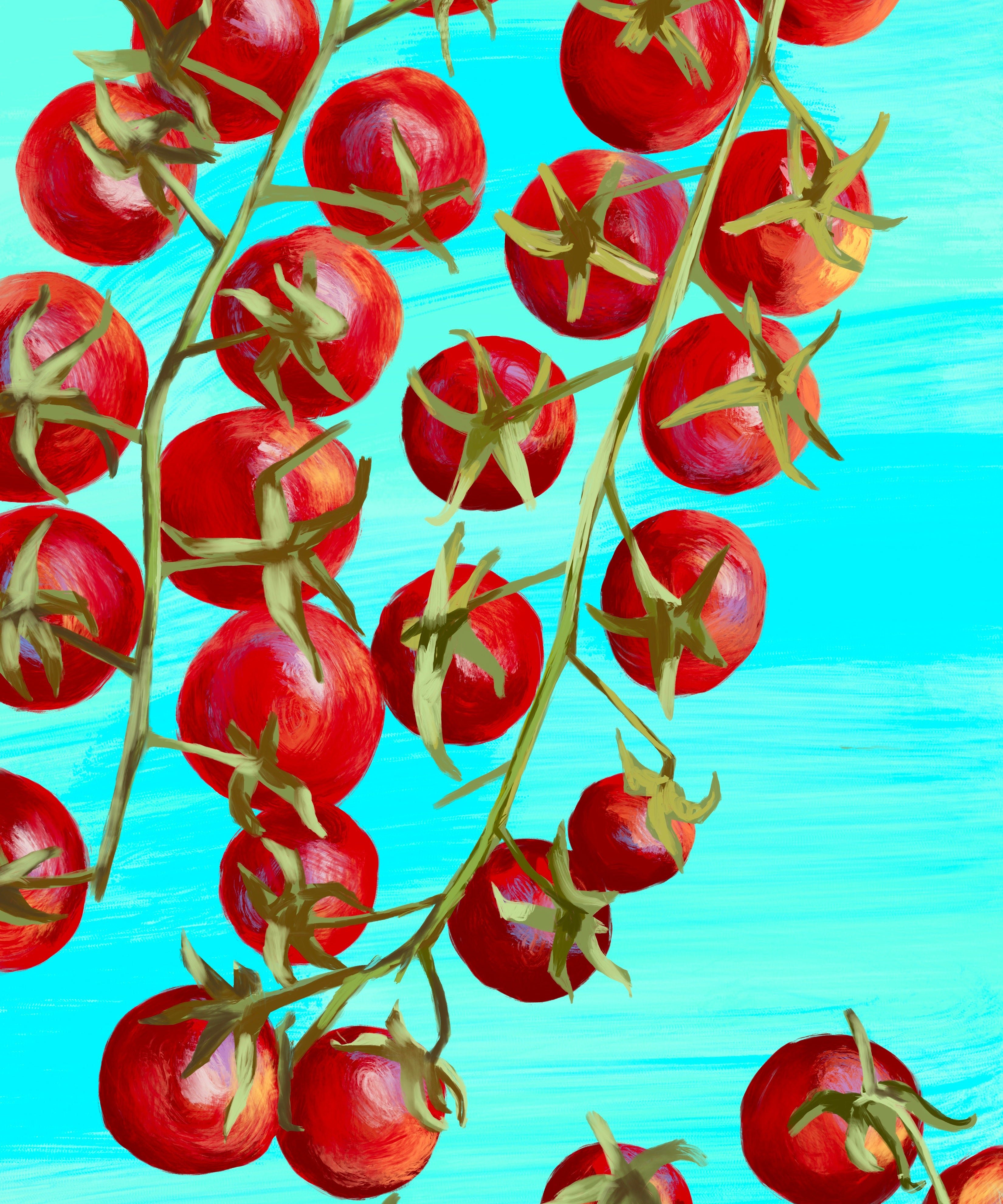 Cherry Tomato Seeds - Matt's Wild Cherry, ORGANIC - Sow True Seed