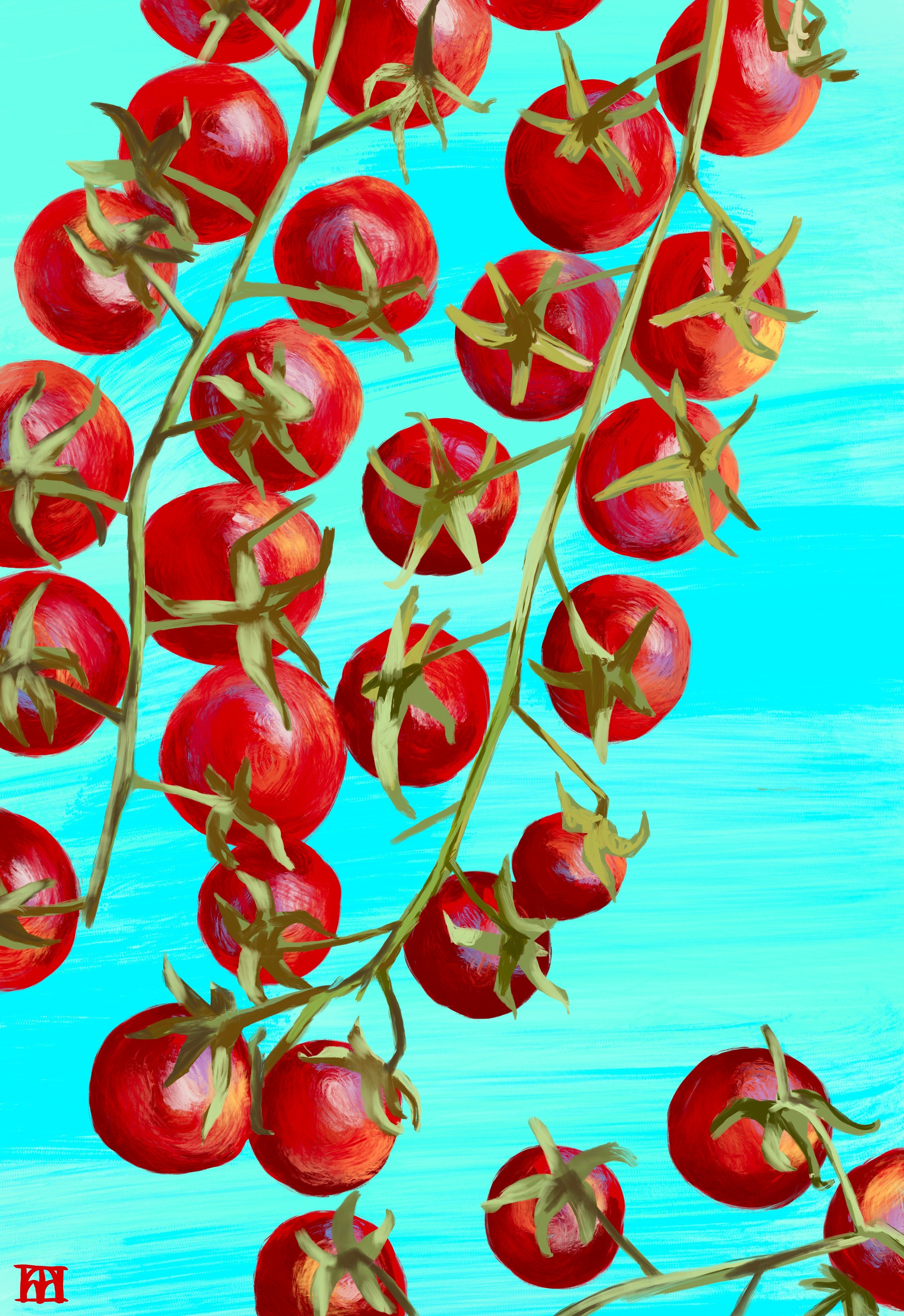 Cherry Tomato Seeds - Matt's Wild Cherry, ORGANIC - Sow True Seed