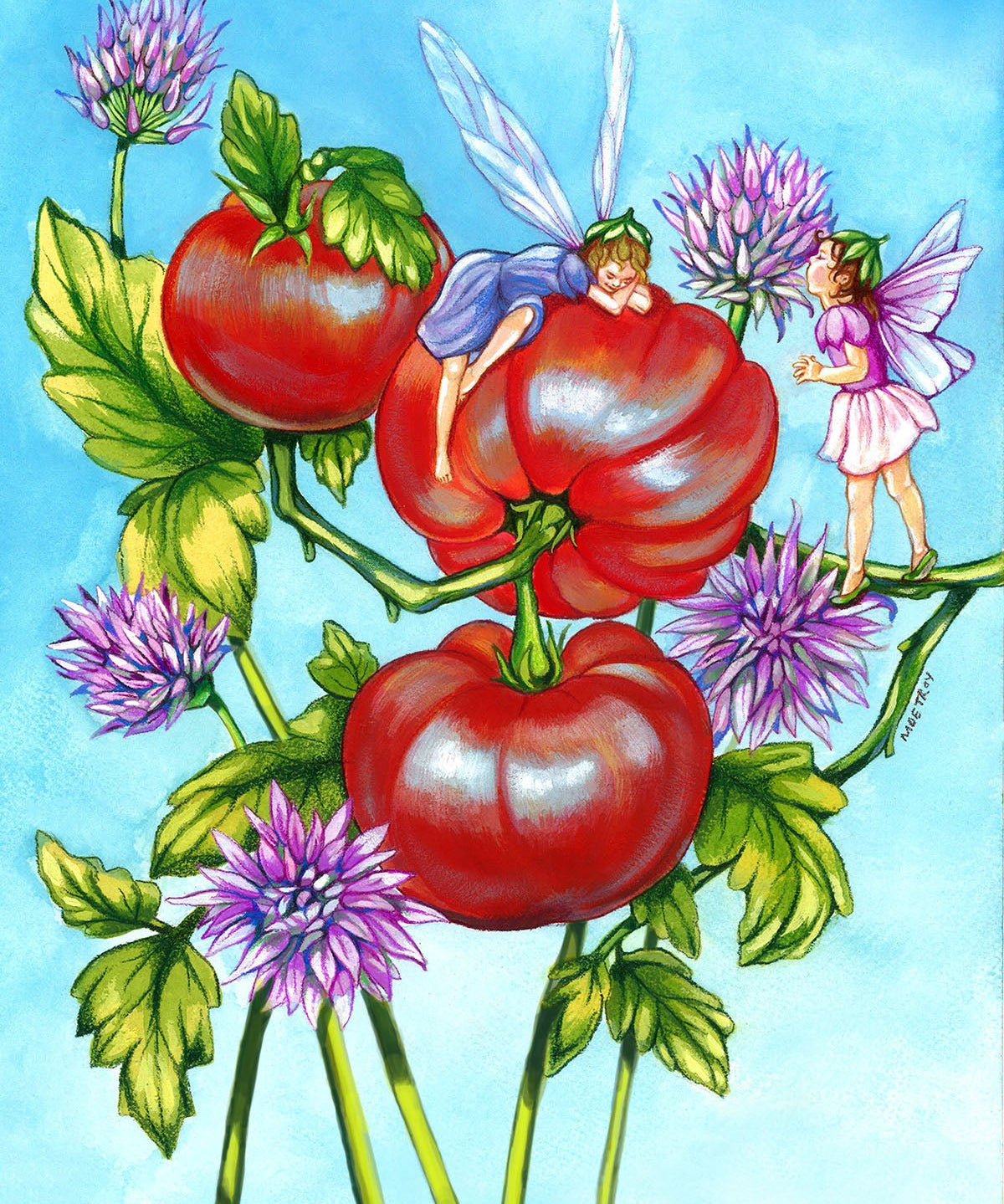 Slicing Tomato Seeds - Mountain Princess, ORGANIC - Sow True Seed