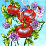 Slicing Tomato Seeds - Mountain Princess, ORGANIC - Sow True Seed