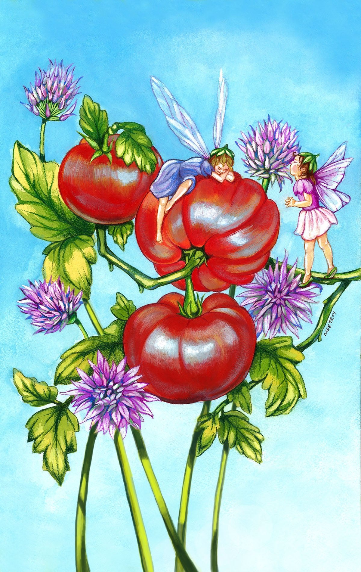 Slicing Tomato Seeds - Mountain Princess, ORGANIC - Sow True Seed