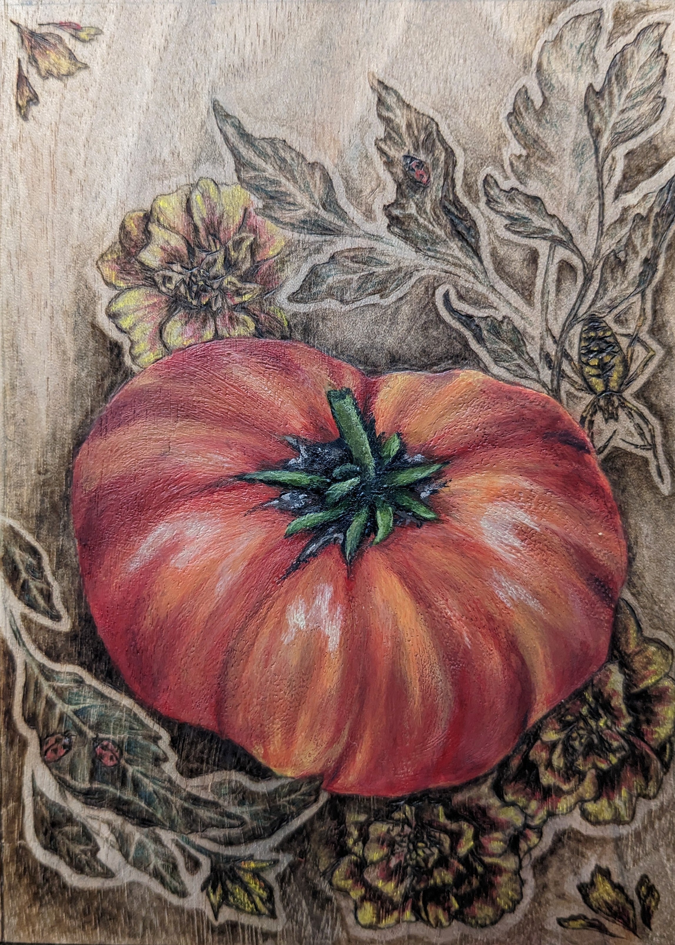 Slicing Tomato Seeds - Mr. Stripey - Sow True Seed