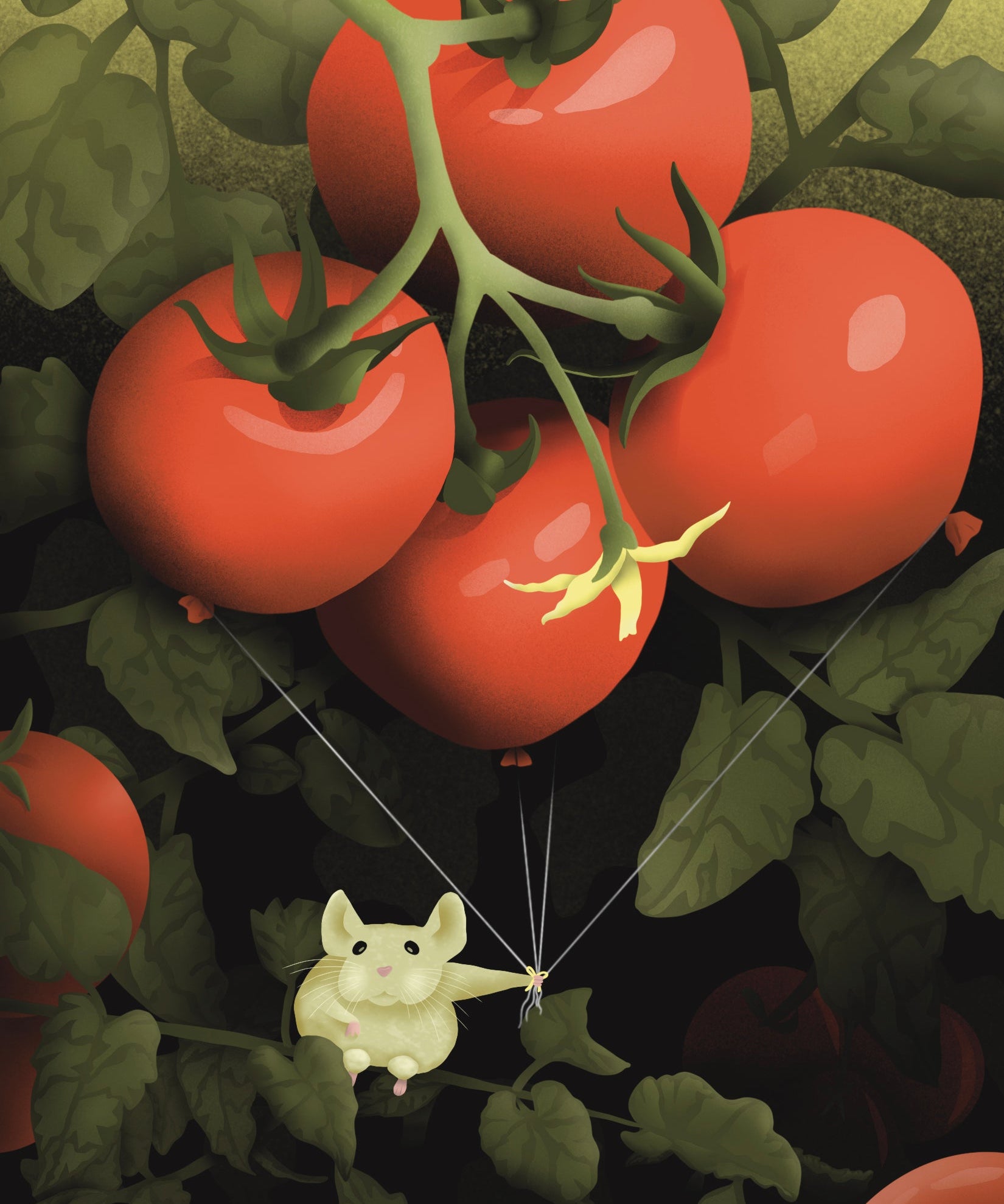 Slicing Tomato Seeds - Rutgers VF - Sow True Seed