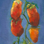 Paste Tomato Seeds - San Marzano - Sow True Seed