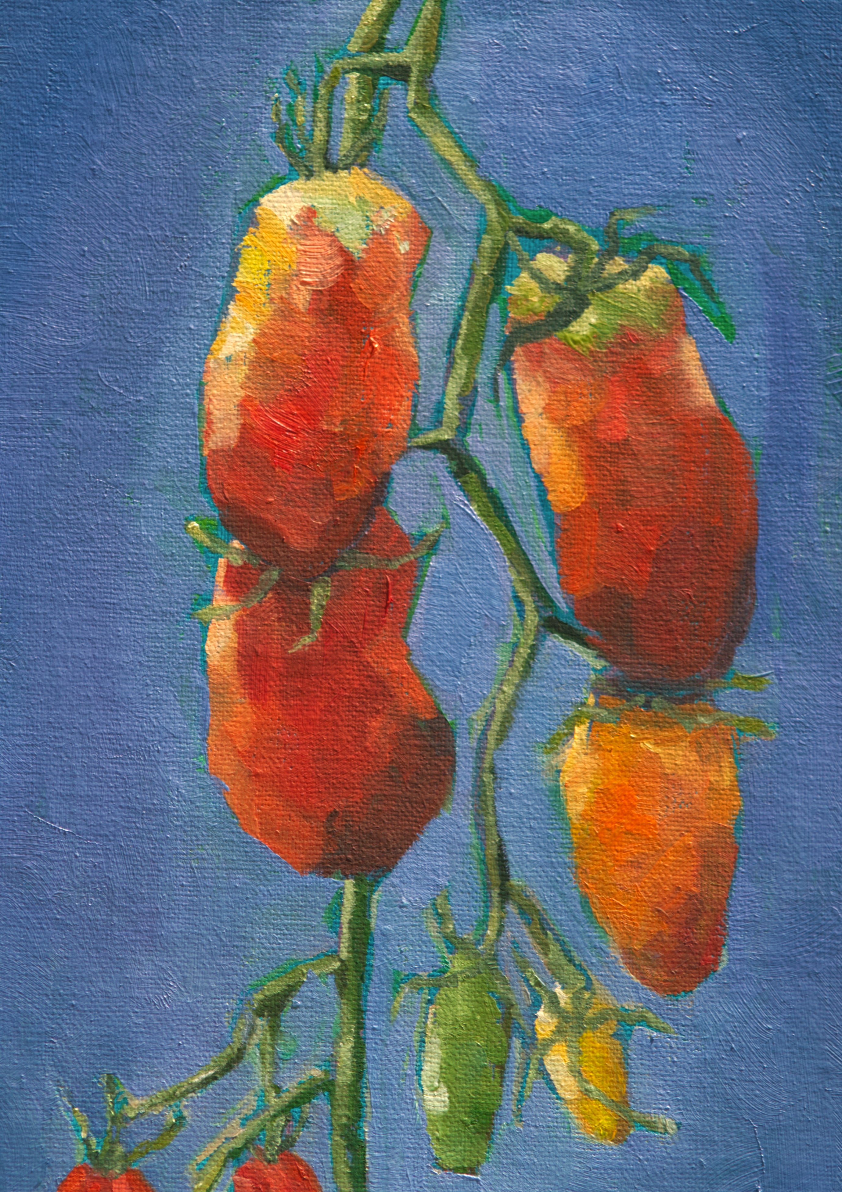 Paste Tomato Seeds - San Marzano - Sow True Seed