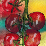Cherry Tomato Seeds - Tiny Tim - Sow True Seed