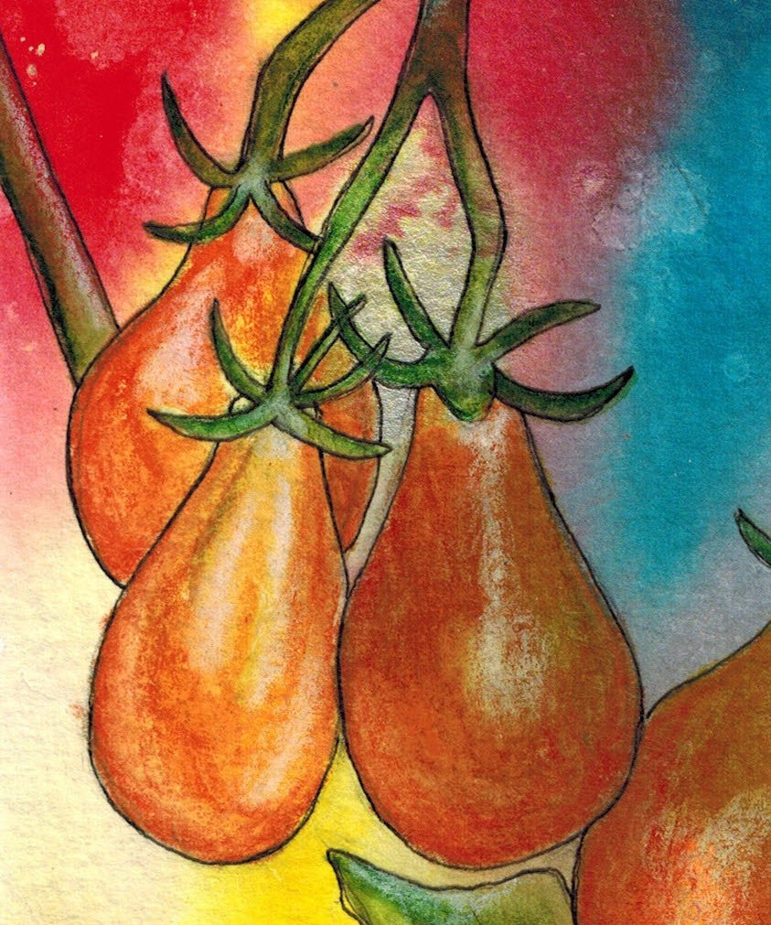 Cherry Tomato Seeds - Yellow Pear - Sow True Seed