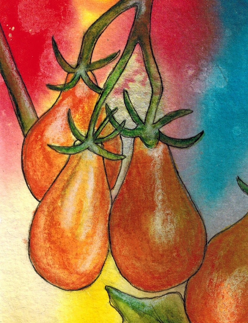Cherry Tomato Seeds - Yellow Pear - Sow True Seed