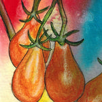 Cherry Tomato Seeds - Yellow Pear - Sow True Seed