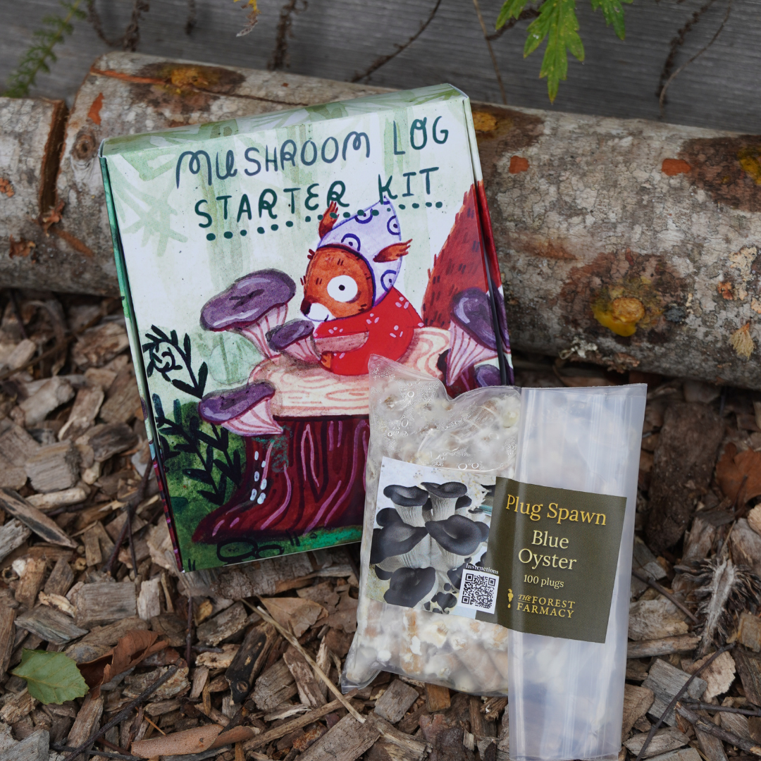 Mushroom Log Starter Kit - Sow True Seed