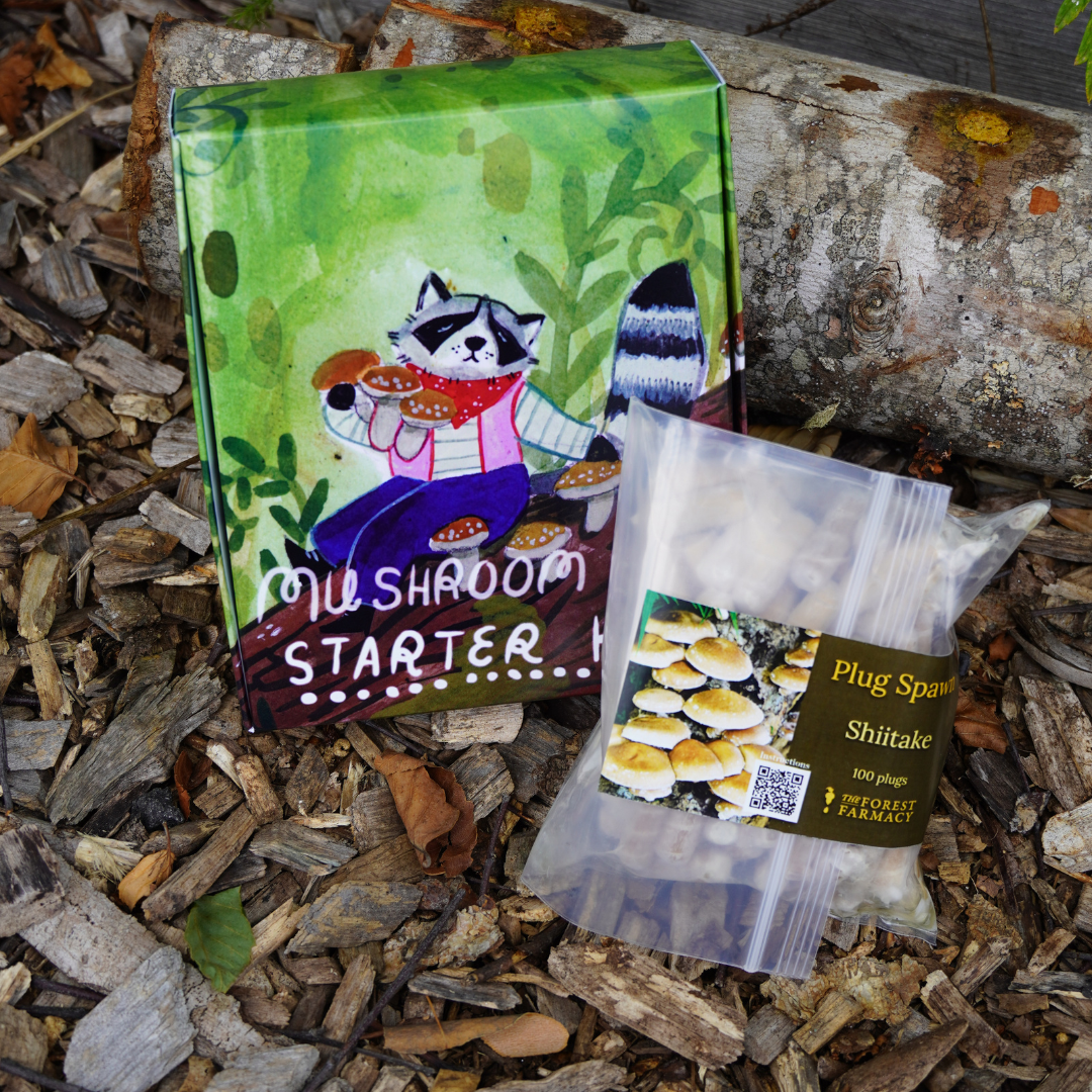 Mushroom Log Starter Kit - Sow True Seed