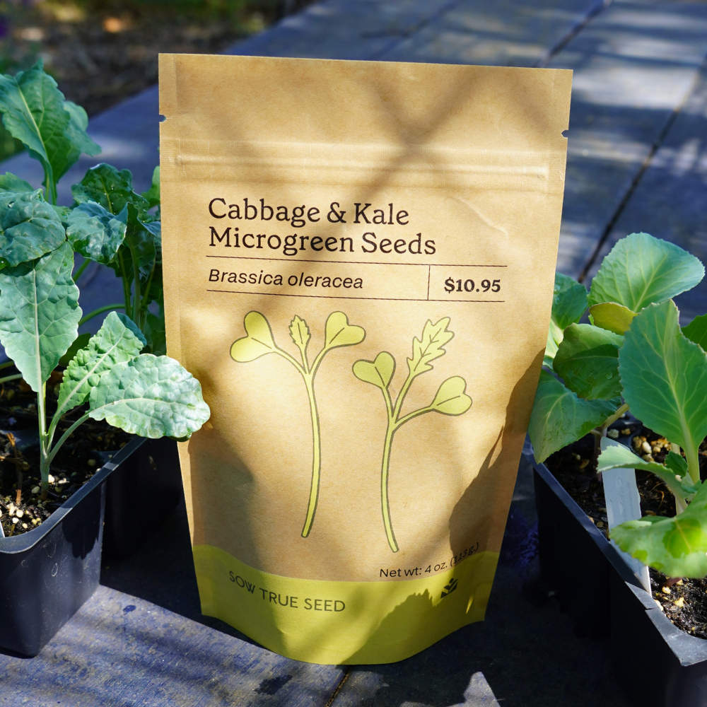 brassica plant seeds Cabbage and Kale Microgreen Seeds | Sow True Seed