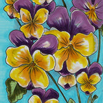 Viola Seeds - Johnny Jump-up - Sow True Seed