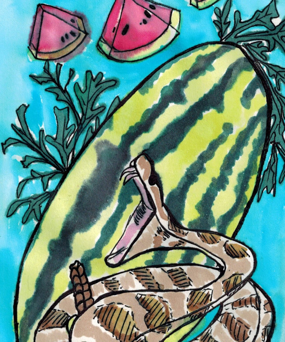 Watermelon Seeds - Georgia Rattlesnake - Sow True Seed