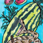 Watermelon Seeds - Georgia Rattlesnake - Sow True Seed