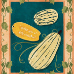 Winter Squash Seeds - Delicata Bush - Sow True Seed