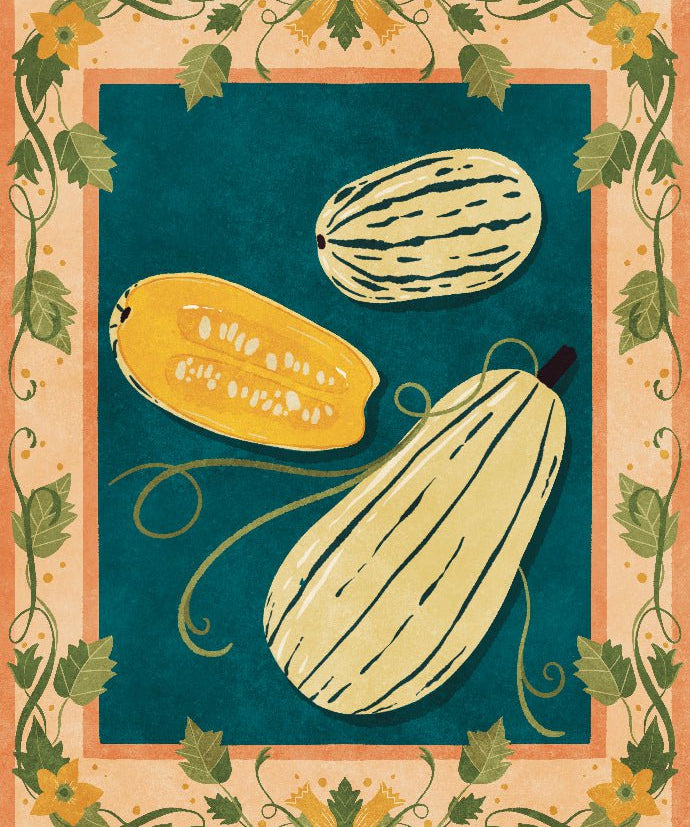 Winter Squash Seeds - Delicata Bush - Sow True Seed