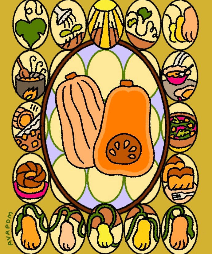 Winter Squash Seeds - Waltham Butternut - Sow True Seed