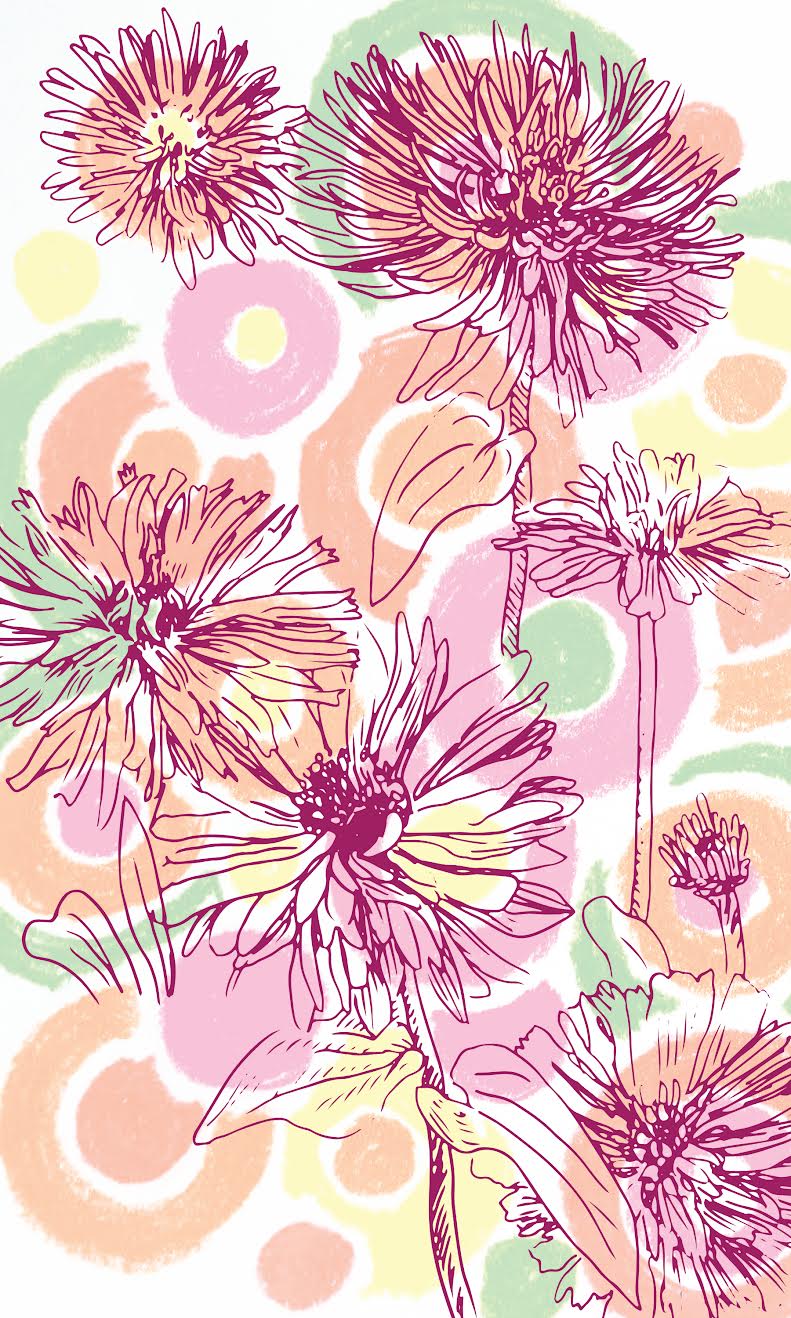 Zinnia Seeds - Cactus-Flowered Mix - Sow True Seed