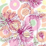 Zinnia Seeds - Cactus-Flowered Mix - Sow True Seed