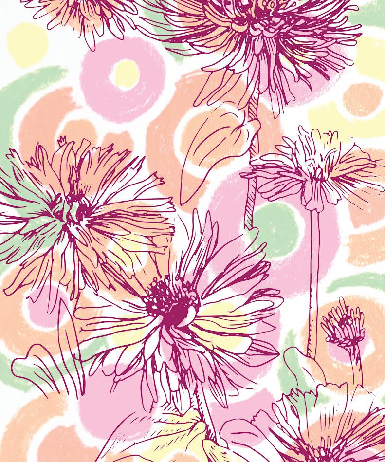 Zinnia Seeds - Cactus-Flowered Mix - Sow True Seed