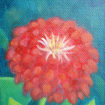 Zinnia Seeds - Cherry Queen - Sow True Seed