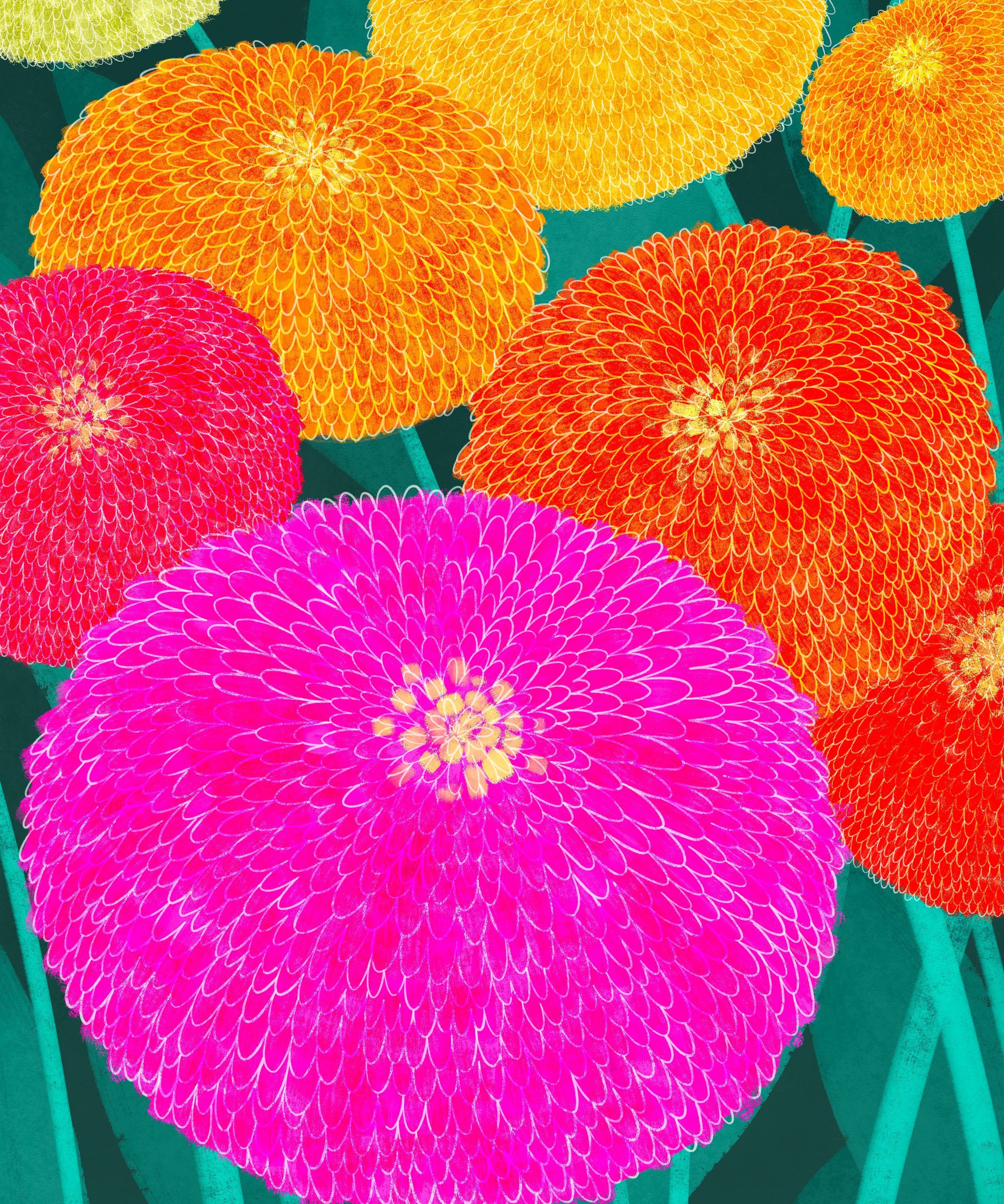 Zinnia Seeds - Lilliput Mix - Sow True Seed