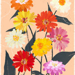 Zinnia Seeds - State Fair Mix - Sow True Seed