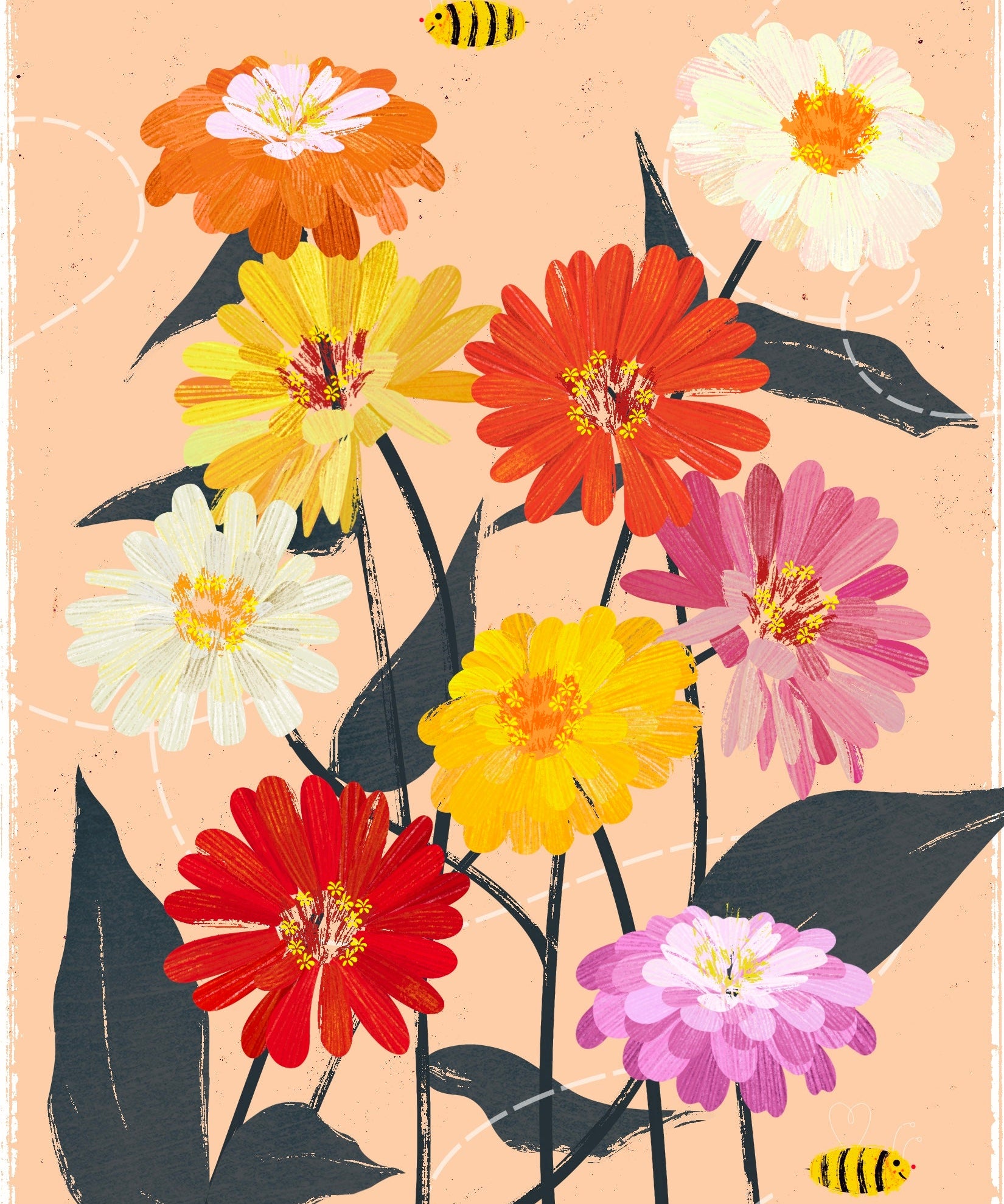 Zinnia Seeds - State Fair Mix - Sow True Seed