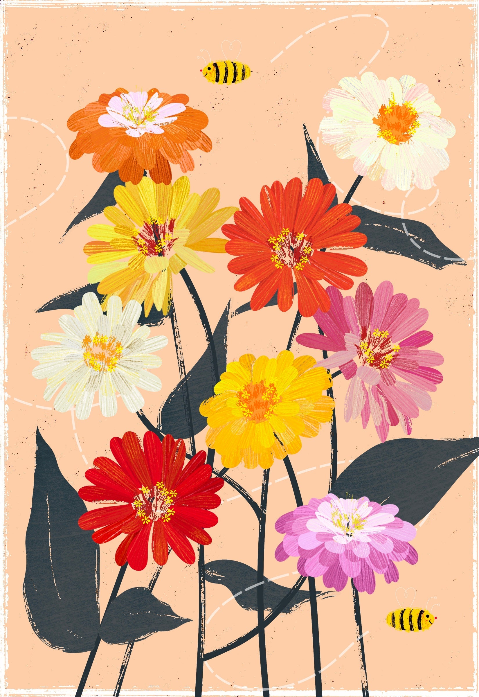 Zinnia Seeds - State Fair Mix - Sow True Seed