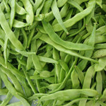 Bush Bean Seeds - Roma II - Sow True Seed