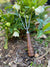 Bear Dog Designs Garden Tools - Sow True Seed