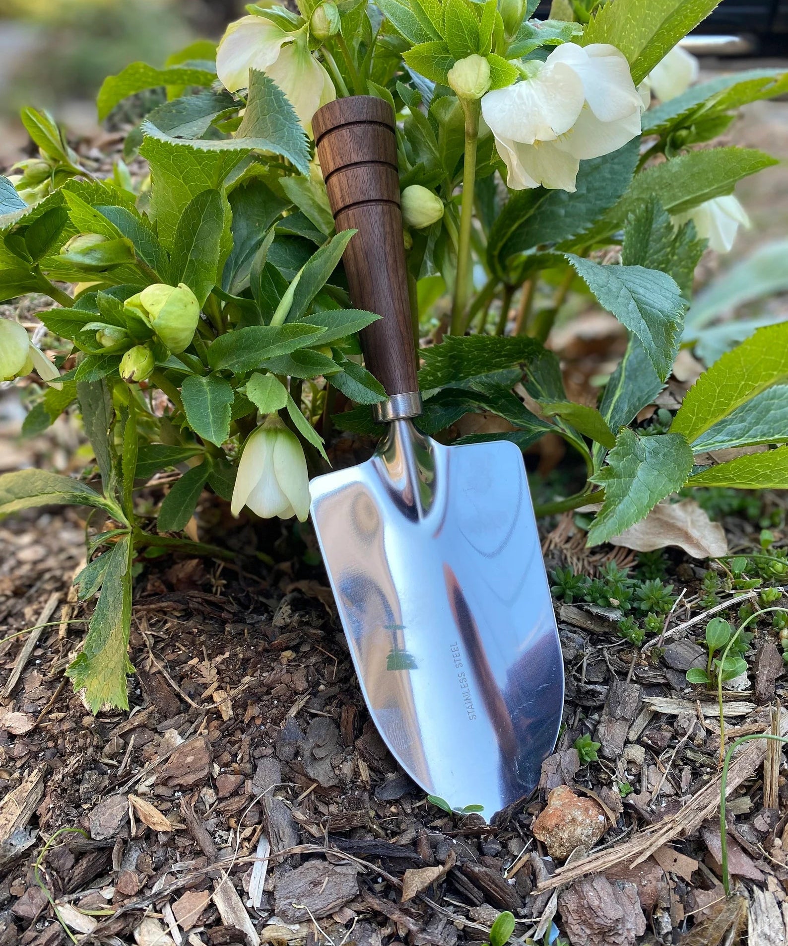 Bear Dog Designs Garden Tools - Sow True Seed